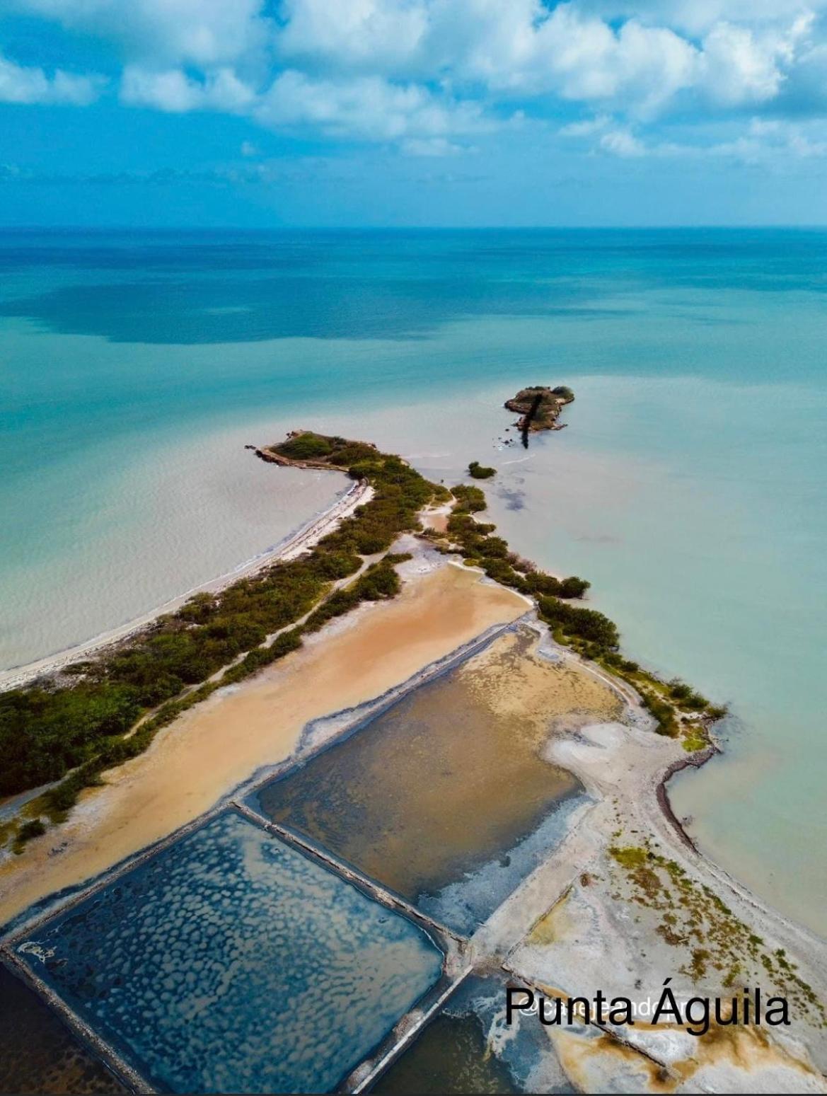 Combate El Carribe Paradise Cabo Rojo Eksteriør billede